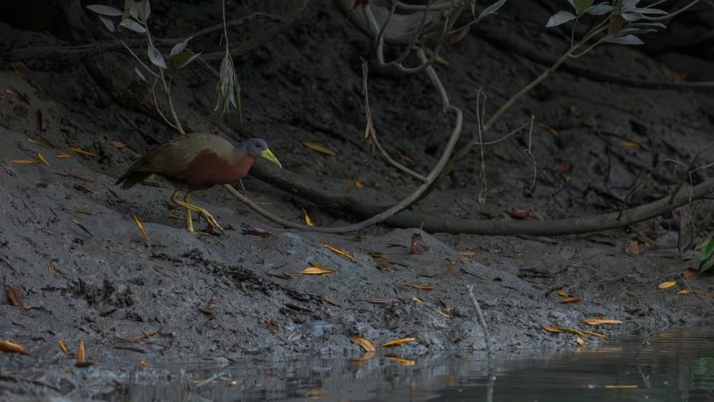 Chestnut Rail
