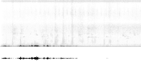 Sonogram of song