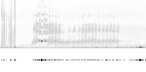 Sonogram of song