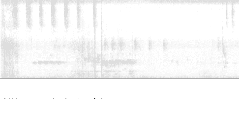 Sonogram of song