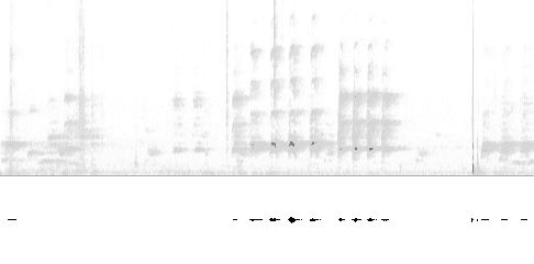 Sonogram of song