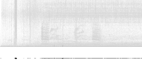 Sonogram of call
