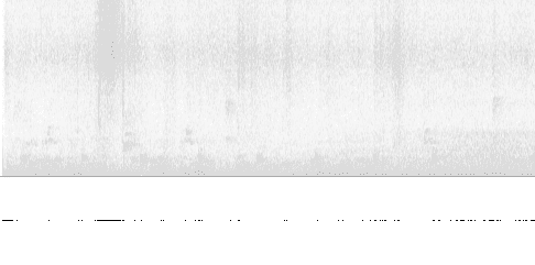 Sonogram of call