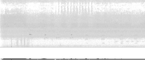 Sonogram of begging
