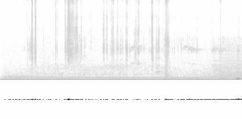Sonogram of song