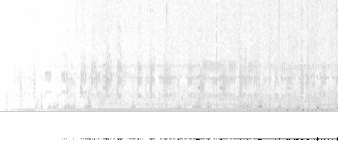 Sonogram of call