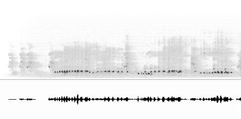 Sonogram of alarm