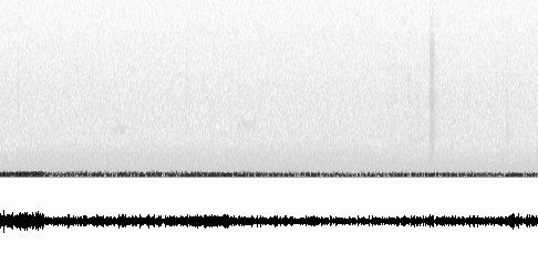Sonogram of flight