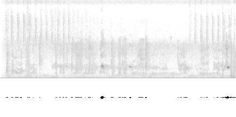 Sonogram of song