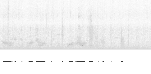 Sonogram of song