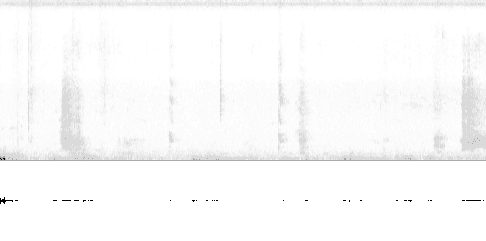 Sonogram of song