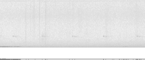Sonogram of call