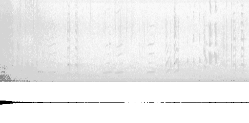 Sonogram of call