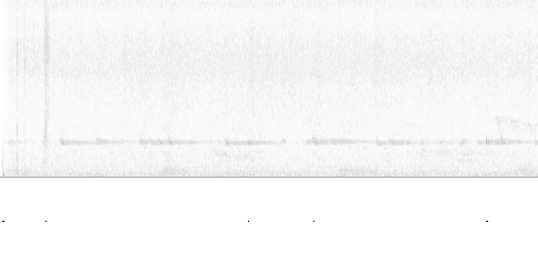 Sonogram of call