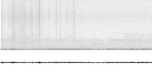 Sonogram of call