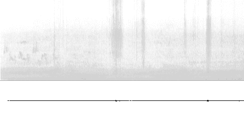 Sonogram of song