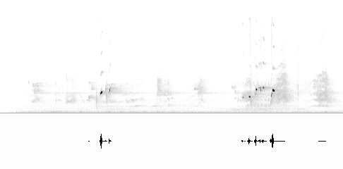 Sonogram of song